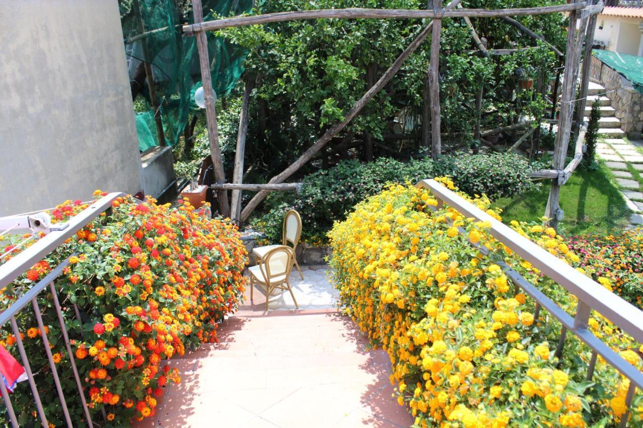 Casa Vacanze Chery سورينتو المظهر الخارجي الصورة