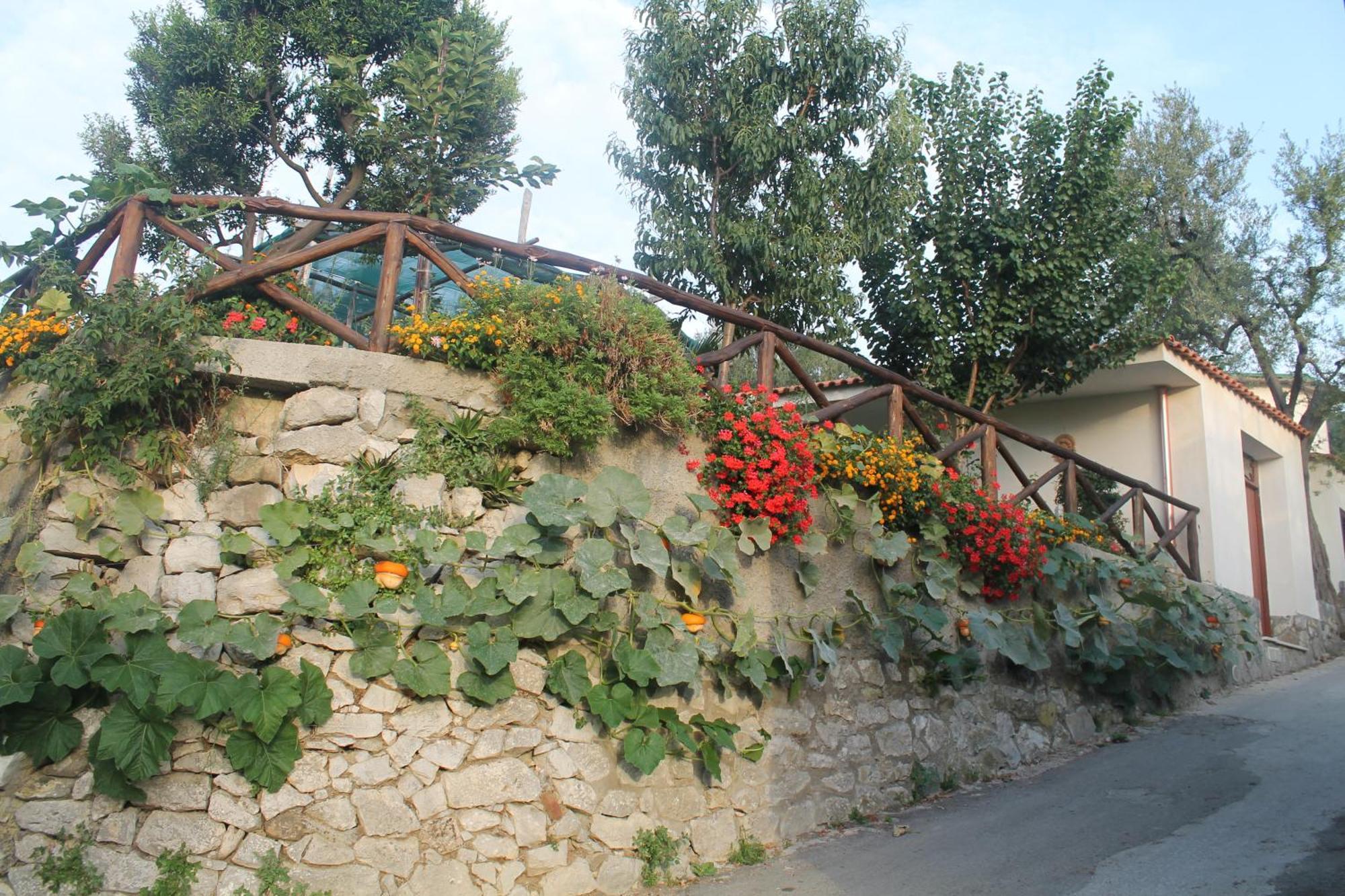 Casa Vacanze Chery سورينتو المظهر الخارجي الصورة