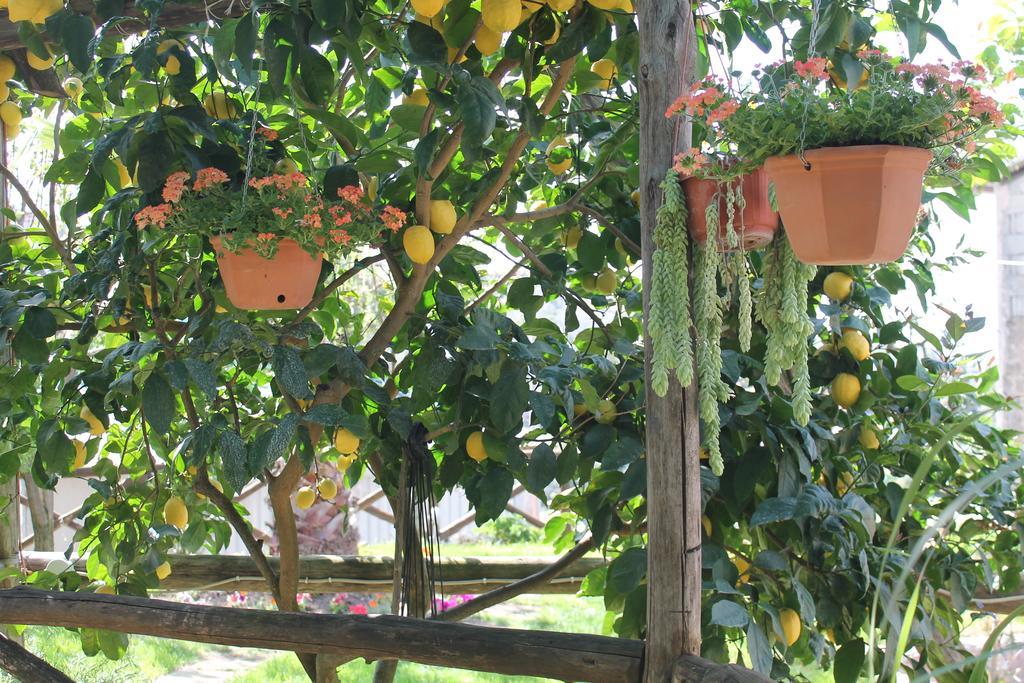 Casa Vacanze Chery سورينتو المظهر الخارجي الصورة
